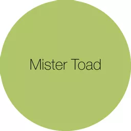 Earthborn Claypaint - Mister Toad