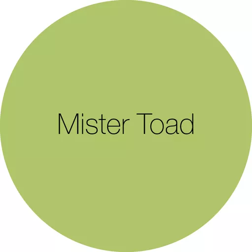 Earthborn Claypaint - Mister Toad