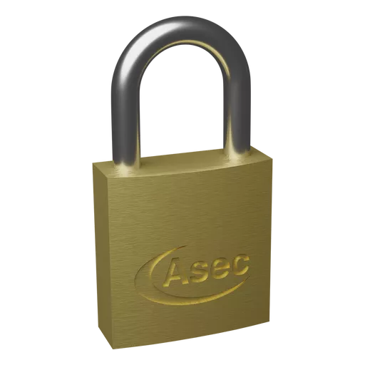 AS2503_1.png?
