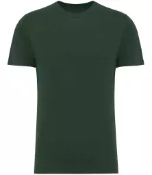 NS300%20FOR%20FRONT.jpg?