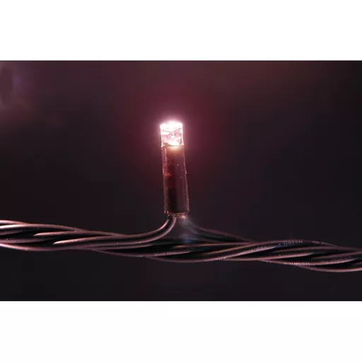 1732183324-05670800.jpg?