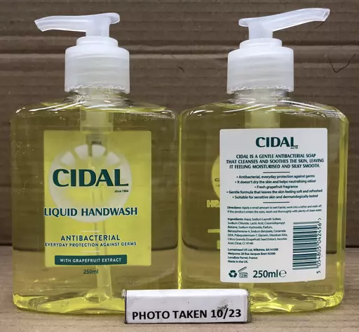 CIDA03.jpg?
