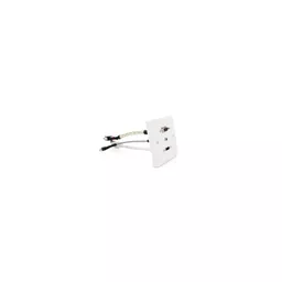 rsz_0_800_25d28_white_hdmi_vga_audio_coupler_wallplate.jpg?