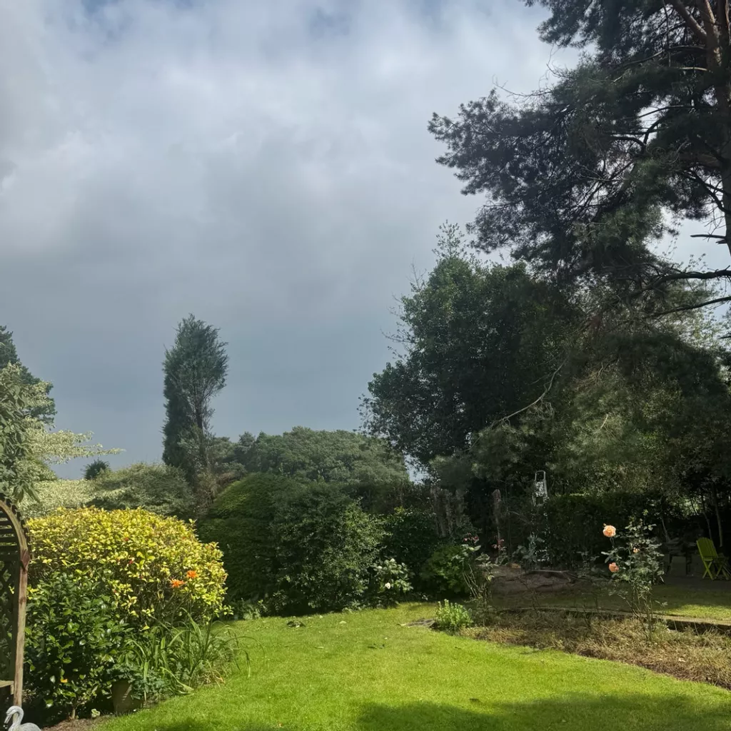 Professional Conifer Removal in Goostrey - Expert Tree Surgeons in Cheshire & North Manchester