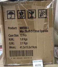FLUSH04-2.jpg?
