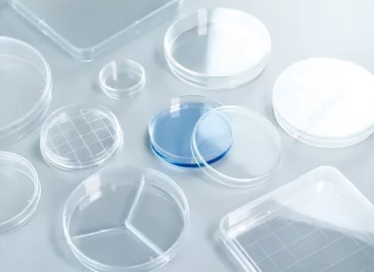 Petri dishes, 90mm, triple vent