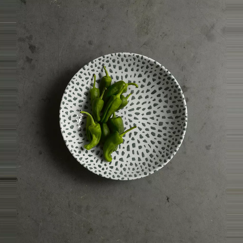 TERRAZZO