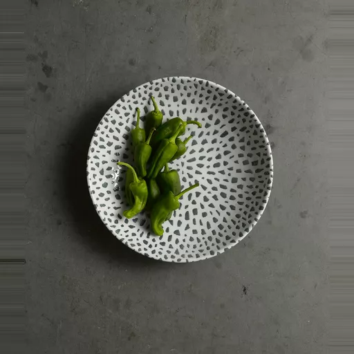 TERRAZZO