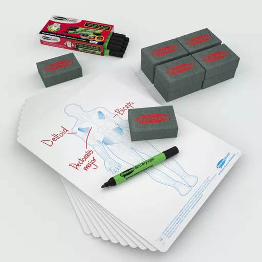 Show-me Human Muscle Drywipe Boards Pk10