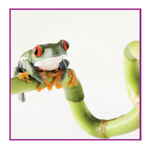 FR1lt5BPRkemSXmBF01QqQ.c-r.jpg?