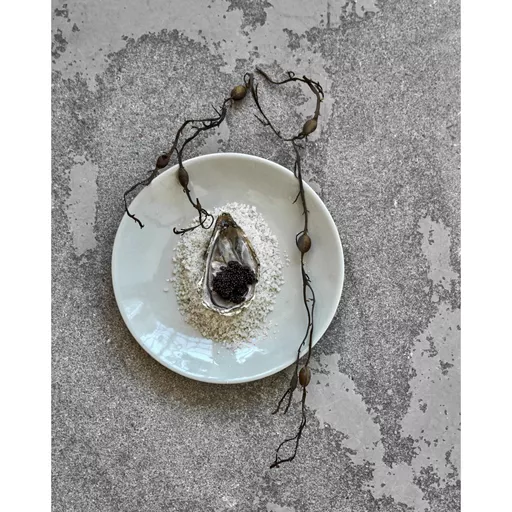 Lunch plate, Diva, Light Blue