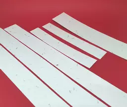 seed strips1.jpg