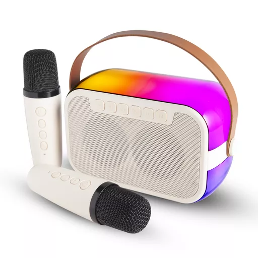 Mini BT Karaoke Speaker with 2