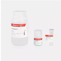 Enhanced BCA Protein Assay Kit, 1 pack=500T