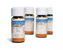 1649749947dc3aea8b5f2ce7b1ccfd5718df979546.PNG?