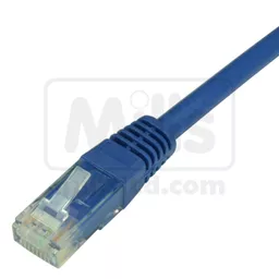 cat6-blue_13.jpg