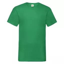 Men's Valueweight V-Neck T-Shirt