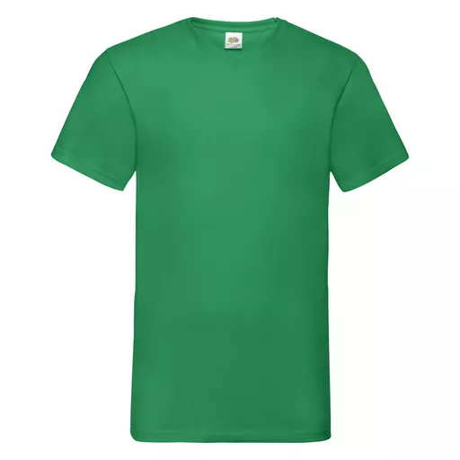 Men's Valueweight V-Neck T-Shirt