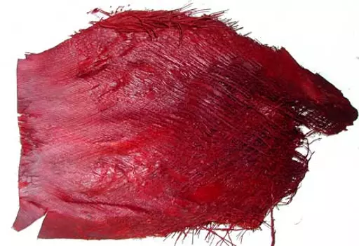 https://starbek-static.myshopblocks.com/images/tmp/nt_150_palmbarkplum4.jpg