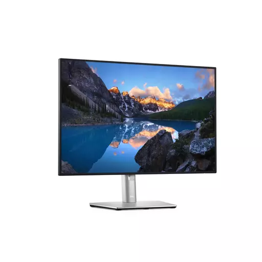 DELL UltraSharp U2421E LED display 61.2 cm (24.1") 1920 x 1200 pixels WUXGA LCD Silver