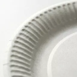 _0000s_0000_9_ Paper Plate White.jpg