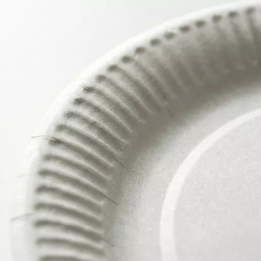 _0000s_0000_9_ Paper Plate White.jpg