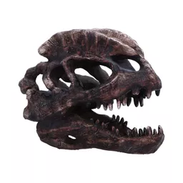 Dilophosaurus Skull (1).jpg