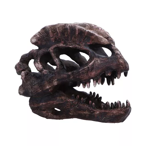 Dilophosaurus Skull (1).jpg