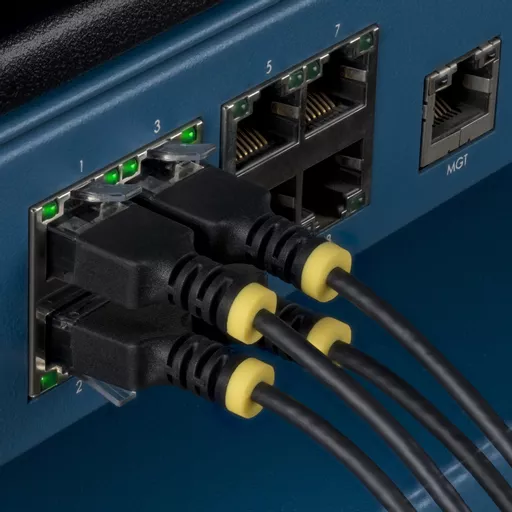 LD7Ahn2brUWd8hQnJvqwuw.c-r.jpg?