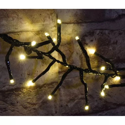 1732028146-37013700.jpg?