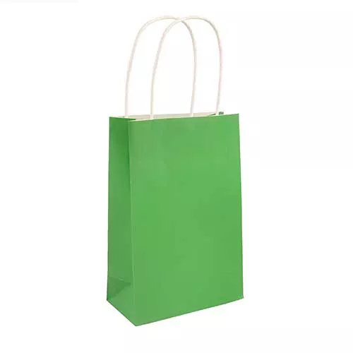 Green Paper Party Bag - Pack of 48