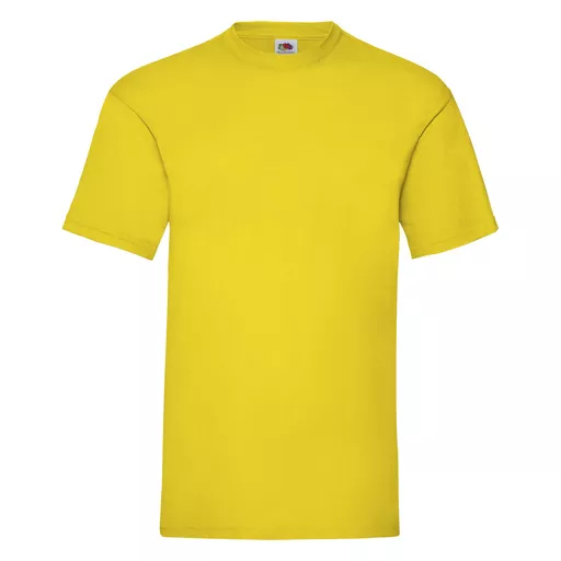 Men's Valueweight T-Shirt
