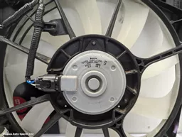 c699131a-deaf-4133-9f34-7d7a9cd86167.jpeg?