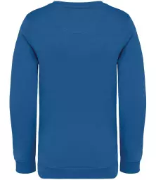 NS403%20SEB%20BACK.jpg?