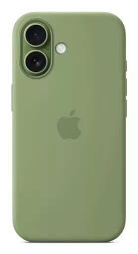 Px8Mo7ujTkmasm3Wst_80g.c-r.jpg?