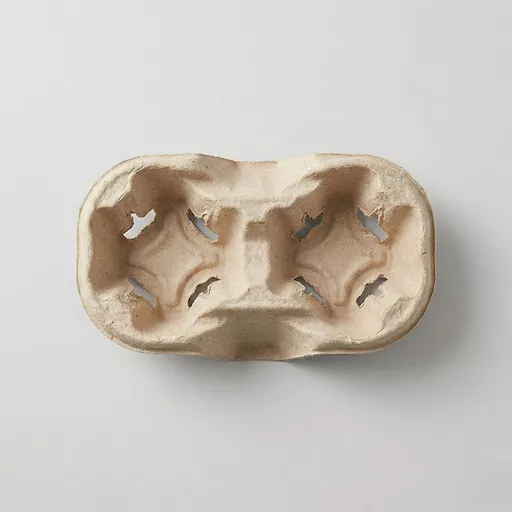 _0000s_0000_2-Cup Carry Tray Pulp.jpg