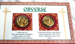 bh_274_coins_800.jpg