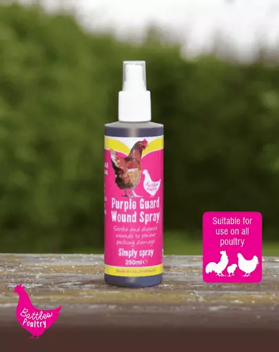 Battles Poultry Purple Guard Spray(2).gif