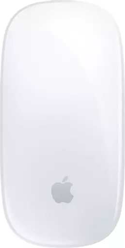 Apple Magic mouse Ambidextrous Bluetooth