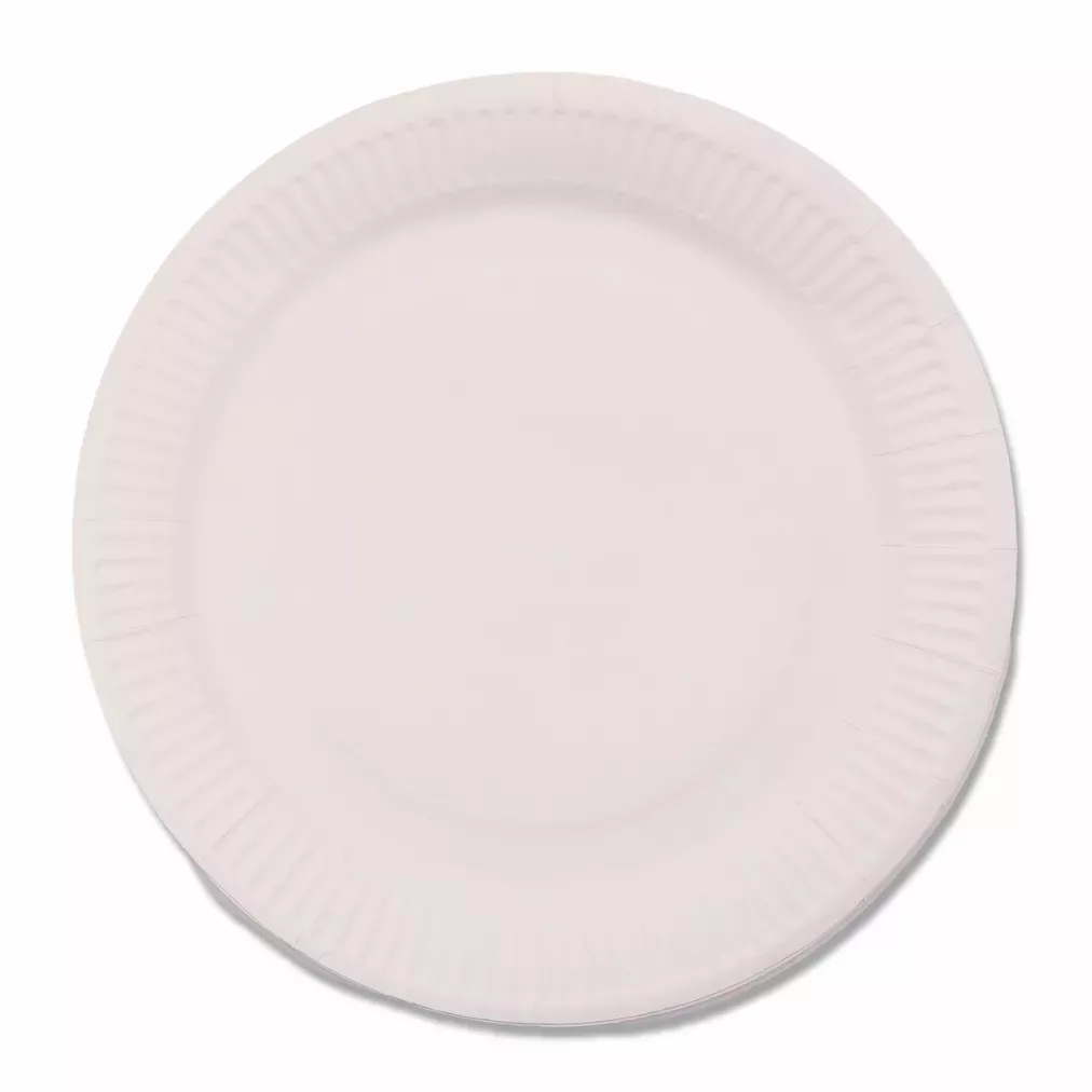PAPER TABLEWARE