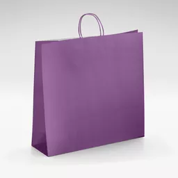 White-kraft-purple-twist-bags-Large.jpg