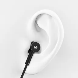 DEV-EARPTMET-MIC-BLKV29 (Copy).png