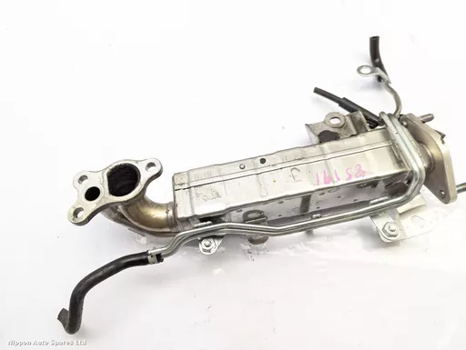 9560410e-bccc-4263-813f-93d54ff9ad79.jpeg?