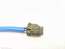 425d549d-acbf-4a9c-be4d-609d58f9e2be.jpeg?