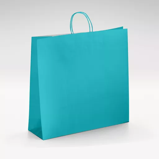 White-kraft-turquoise-twist-bags-Large.jpg