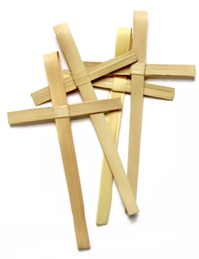PALMCROSS 1.jpg