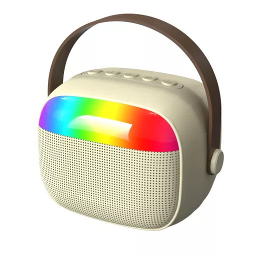 Mini Speaker with Wireless Mic