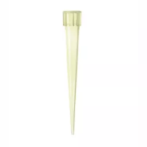 17702091533a06041fd005c7dd982c0841fd32c659.png?