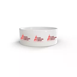 mockup-1771523059519-0-0.jpg?