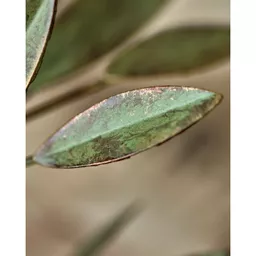 205340405_11.png